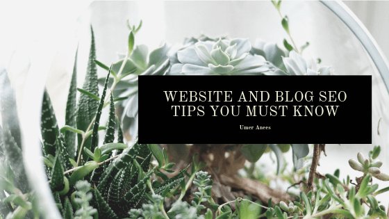 Website and Blog SEO Tips You Must Know