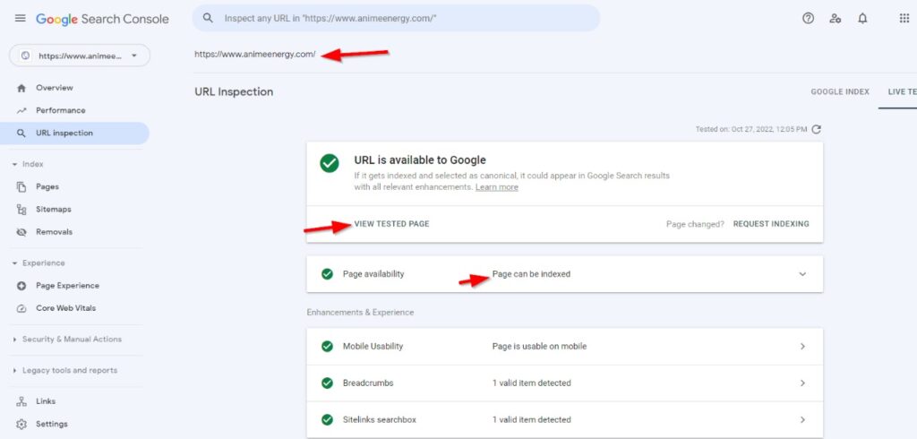 verify page indexed