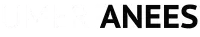Umer Anees Digital Agency Logo