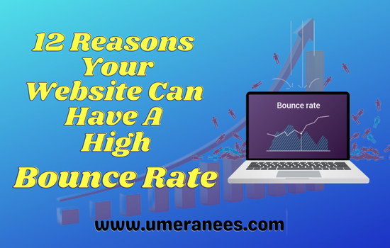 Read more about the article 12 Reasons Website Can Have A High Bounce Rate